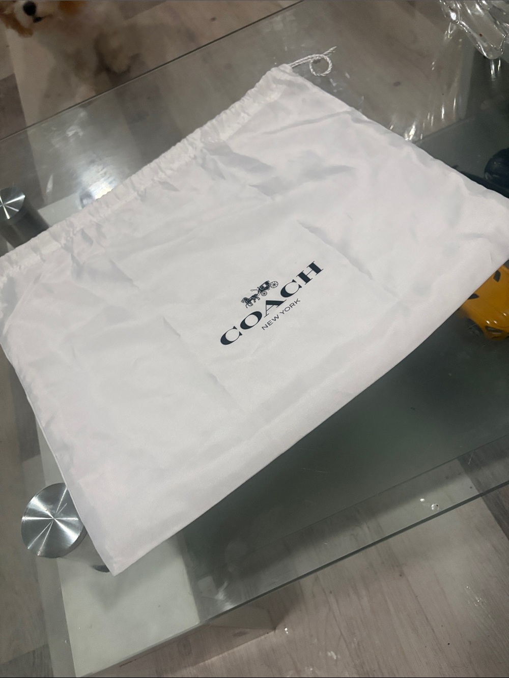 COACH Cover Bag